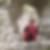 Profilbild von Carola Huth