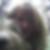Profilbild von Alexandra Groke