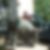 Profilbild von Heidrun Grasemann