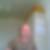 Profilbild von Peter Dresen