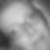 Profilbild von Susan Richter