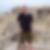 Profilbild von Sebastian Fischer