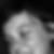 Profilbild von Cornelia Hollube
