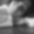 Profilbild von Dorett Harwatta