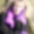 Profilbild von Annette Hoof