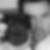 Profilbild von Rene Wittenhorst