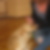 Profilbild von Okan Karahan
