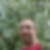 Profilbild von Michael Moebus