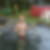 Profilbild von Artur Gast