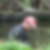 Profilbild von Lars Prof. Chittka