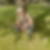 Profilbild von Wullis Veziridis