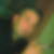 Profilbild von Fikret Skenderovic