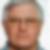 Profilbild von Wolfgang Liebert