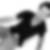 Profilbild von Frank Rothe