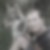 Profilbild von Thomas Lindner