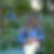 Profilbild von Max Dans