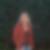 Profilbild von Anke Kretzschmar
