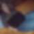 Profilbild von Nicole Herrmann