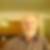 Profilbild von Hans-Joachim Lienke