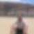 Profilbild von Thomas Tweeboom