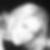 Profilbild von Wiebke Richter