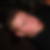 Profilbild von Felix Kissing