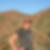 Profilbild von Birgit Sommer