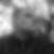 Profilbild von Robert Bone