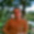 Profilbild von Dr. Harald Schneider