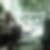 Profilbild von Thomas Lange