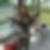 Profilbild von Conni Schneider