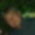 Profilbild von Igor Borcherding