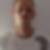 Profilbild von David Trattwal