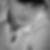 Profilbild von Thomas Forat