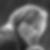 Profilbild von Antje Wessig