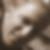 Profilbild von Lars Kopp