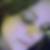 Profilbild von Nancy Michaelis