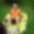 Profilbild von Thomas Spaniel