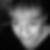 Profilbild von Silvia Bistram