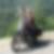 Profilbild von Uli Bletzinger