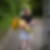 Profilbild von Hannelore Walper