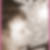 Profilbild von Karen Horn