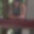Profilbild von Thomas Wuttke