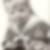 Profilbild von Anne Grienitz