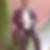Profilbild von Matthias Huttner