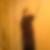 Profilbild von Michael Templin