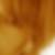Profilbild von Sabrina Kinderdick