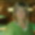Profilbild von Jutta Sobotta