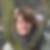 Profilbild von Ertha Steen