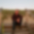 Profilbild von Andreas Busch